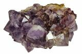 Dark, Amethyst Crystal Cluster - South Africa #115392-2